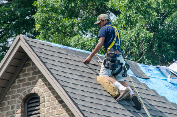 Best Roof Gutter Cleaning  in Magalia, CA